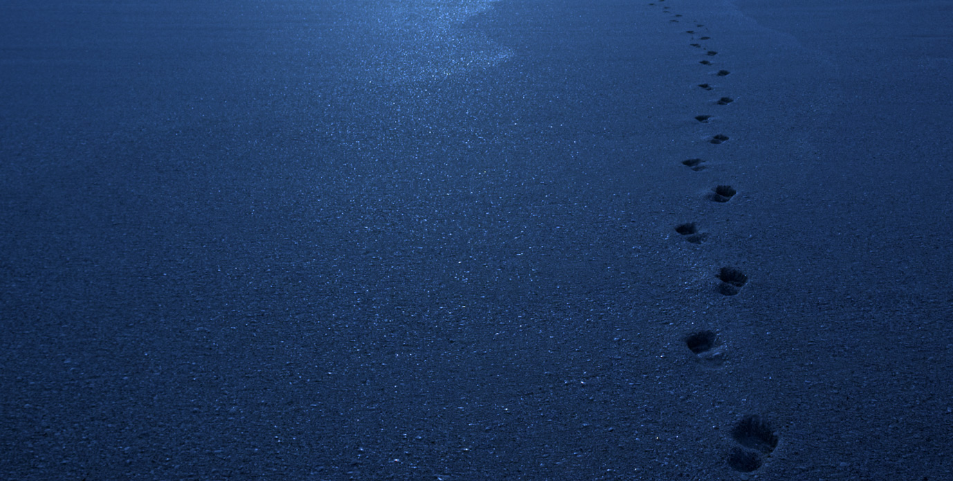 Blue Footsteps